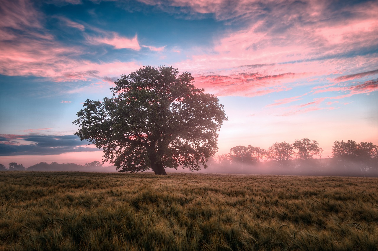 entdecken sie den naturalismus – eine strömung in der literatur und kunst, die das leben und die natur in ihrer authentischen form darstellt. erfahren sie, wie diese bewegung die realität widerspiegelt und die menschliche erfahrung prägt.